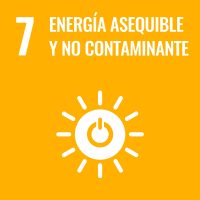 Además de facilitarte una valoración de tu desempeño en materia de sostenibilidad, señala aquellos ámbitos en los que tienes mejor puntuación y con qué Objetivos de Desarrollo Sostenible están alineados.