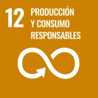 Además de facilitarte una valoración de tu desempeño en materia de sostenibilidad, señala aquellos ámbitos en los que tienes mejor puntuación y con qué Objetivos de Desarrollo Sostenible están alineados.