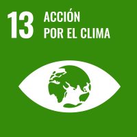 Además de facilitarte una valoración de tu desempeño en materia de sostenibilidad, señala aquellos ámbitos en los que tienes mejor puntuación y con qué Objetivos de Desarrollo Sostenible están alineados.